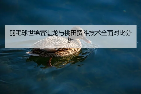 羽毛球世锦赛谌龙与桃田贤斗技术全面对比分析